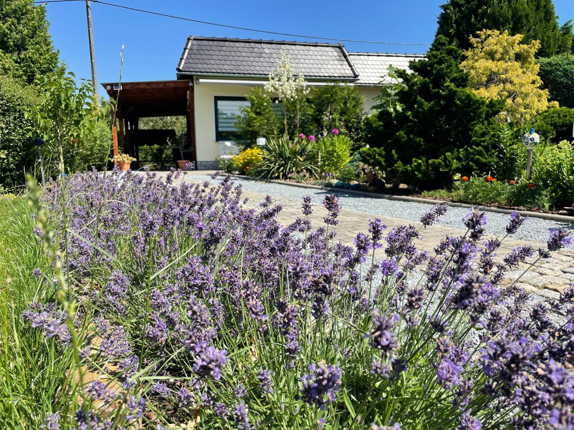 Ferienhaus Amare Mit Fasssauna, Eigener Terrasse & Kamin Bautzen Eksteriør billede