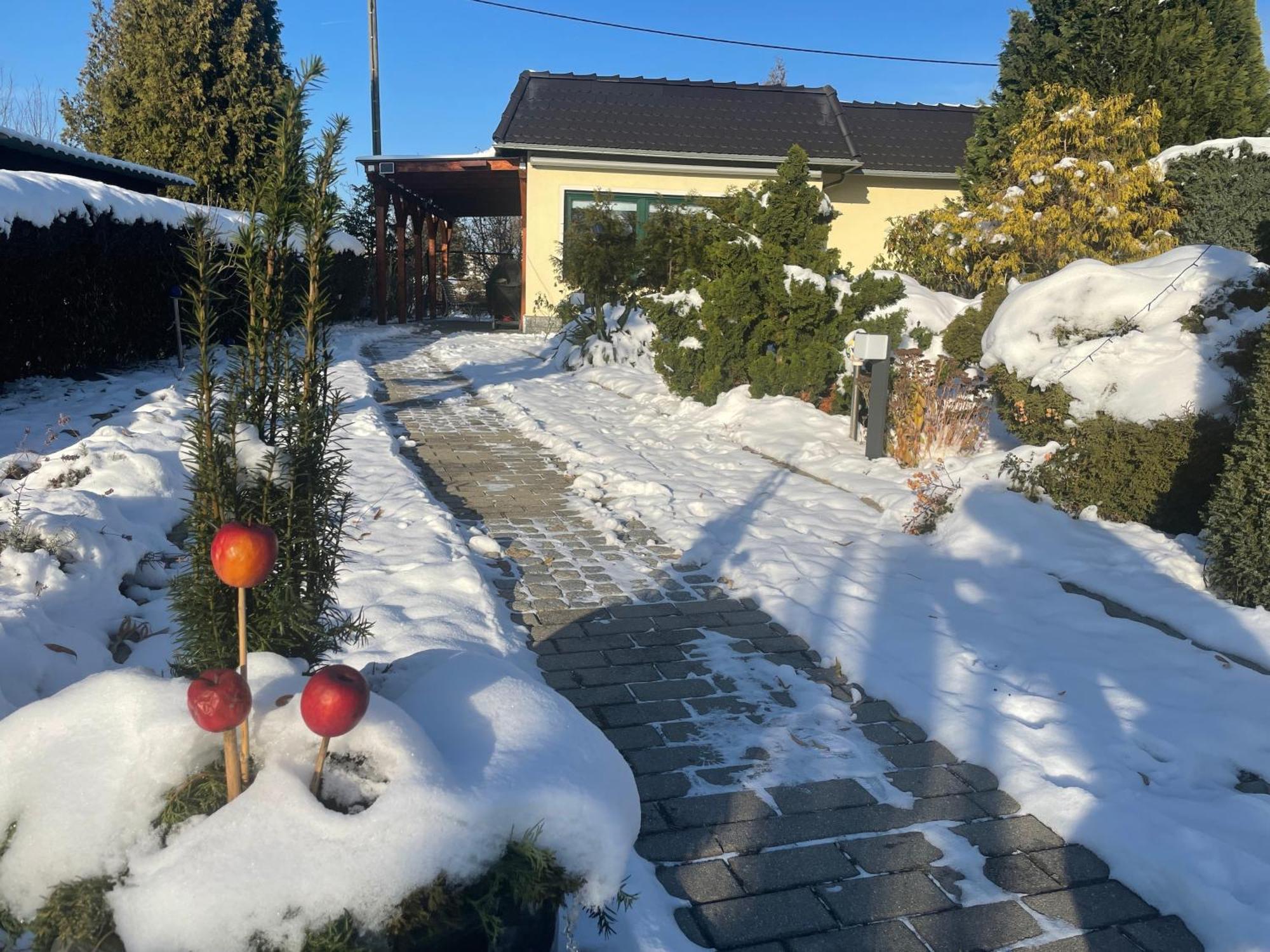 Ferienhaus Amare Mit Fasssauna, Eigener Terrasse & Kamin Bautzen Eksteriør billede
