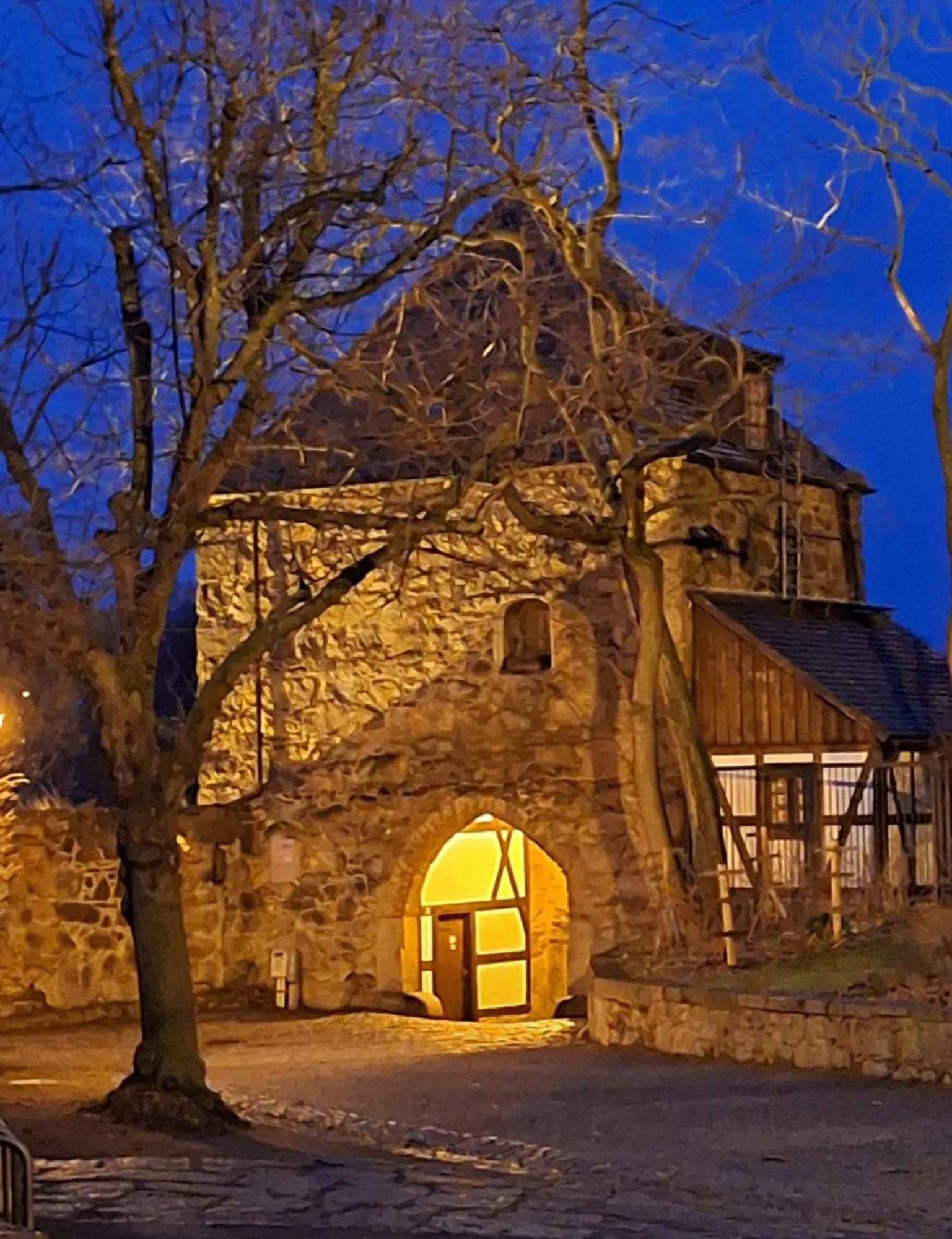 Ferienhaus Amare Mit Fasssauna, Eigener Terrasse & Kamin Bautzen Eksteriør billede